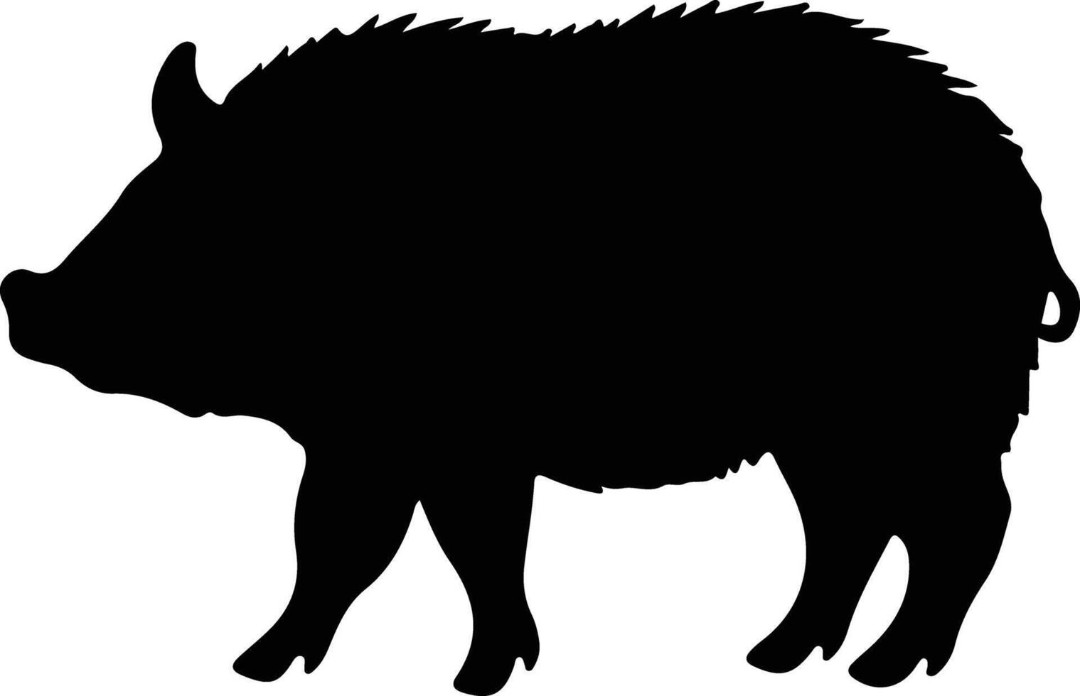 collared peccary black silhouette vector