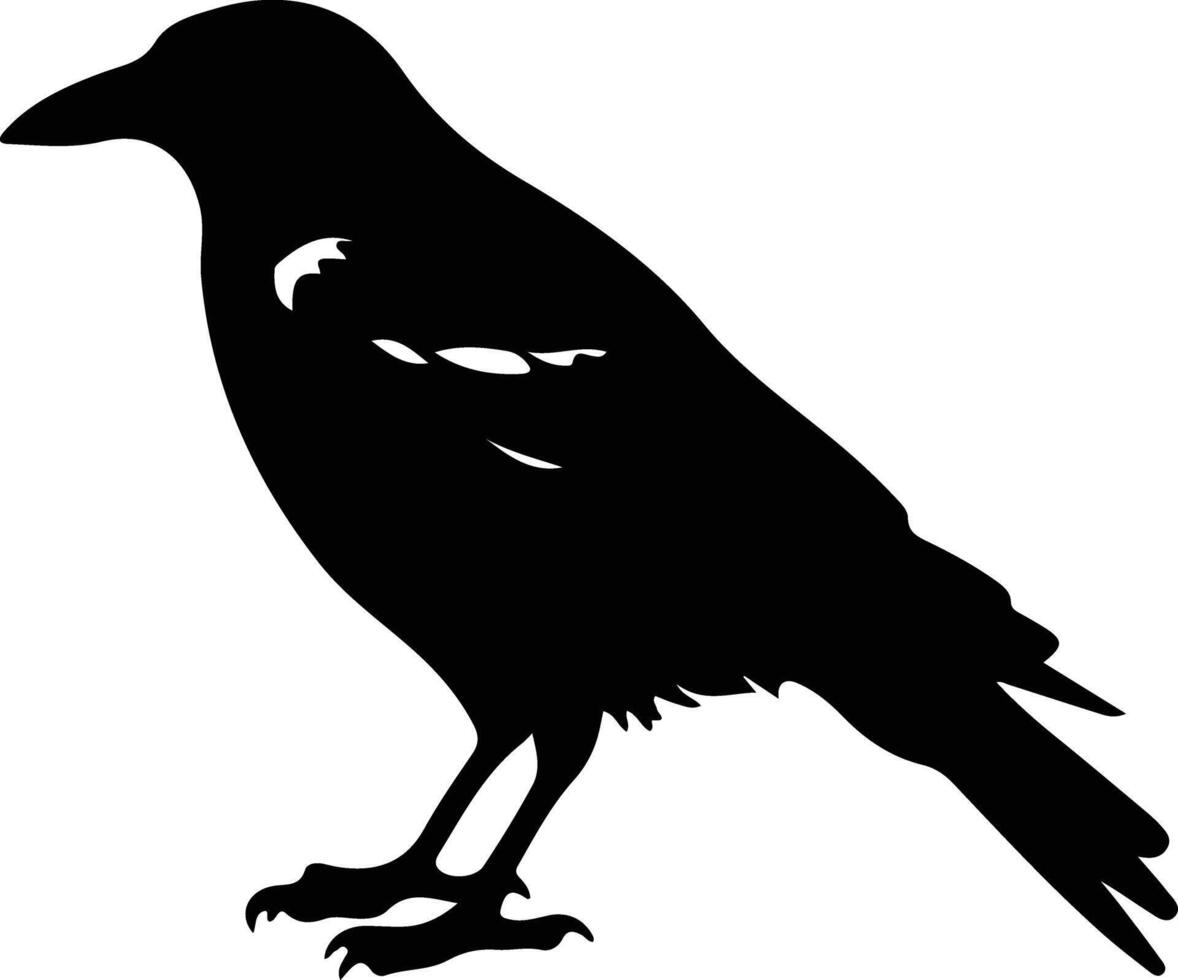 crow black silhouette vector