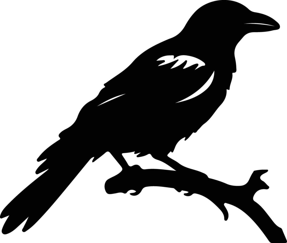 crow black silhouette vector