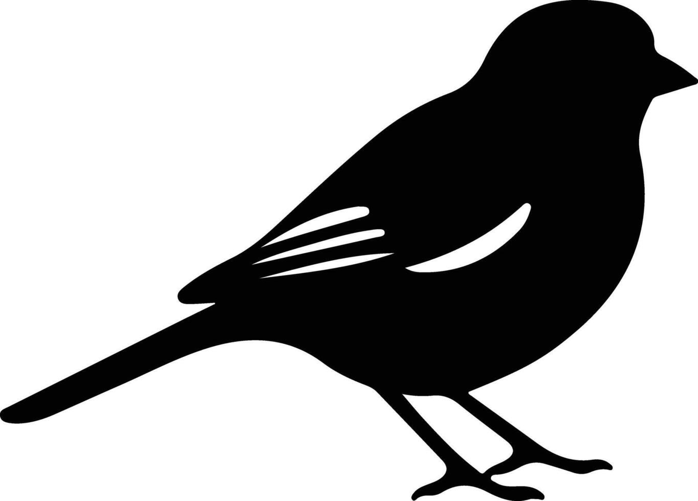 dark-eyed junco black silhouette vector