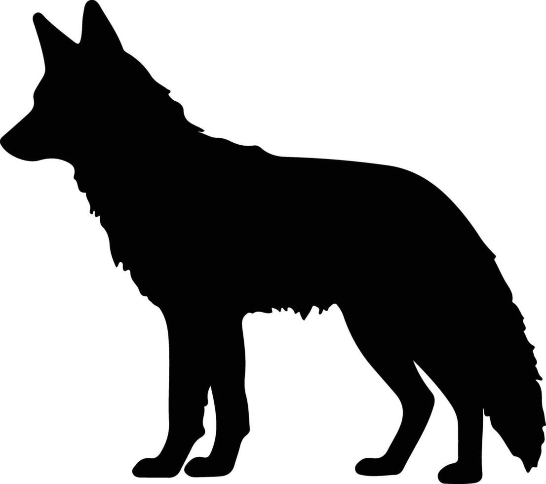 dingo negro silueta vector