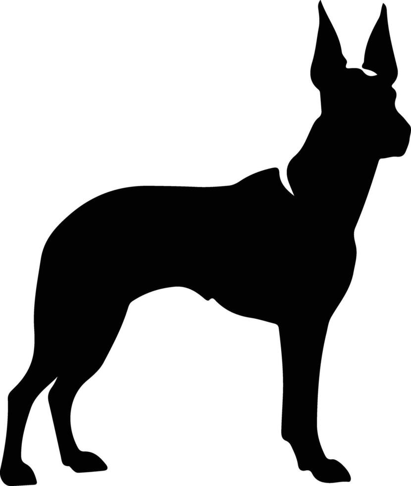 caballero pinscher negro silueta vector