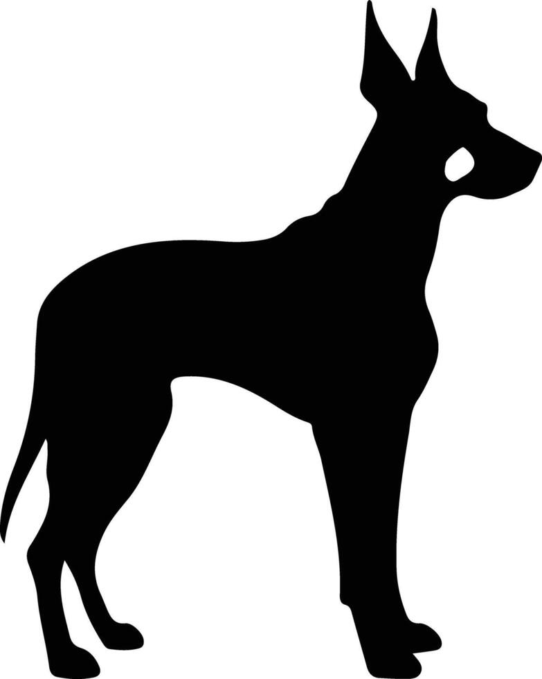 caballero pinscher negro silueta vector