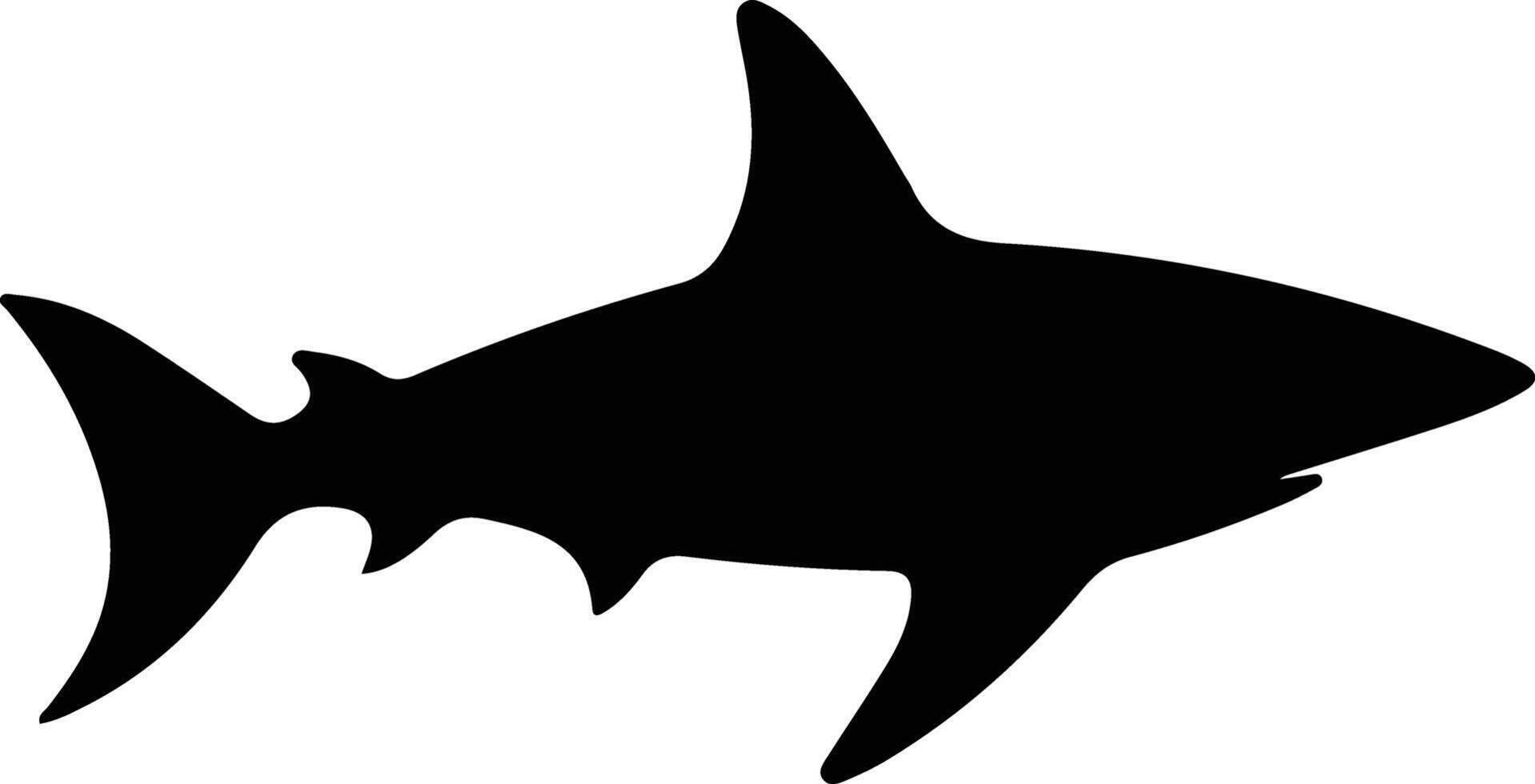 Galapagos shark black silhouette vector