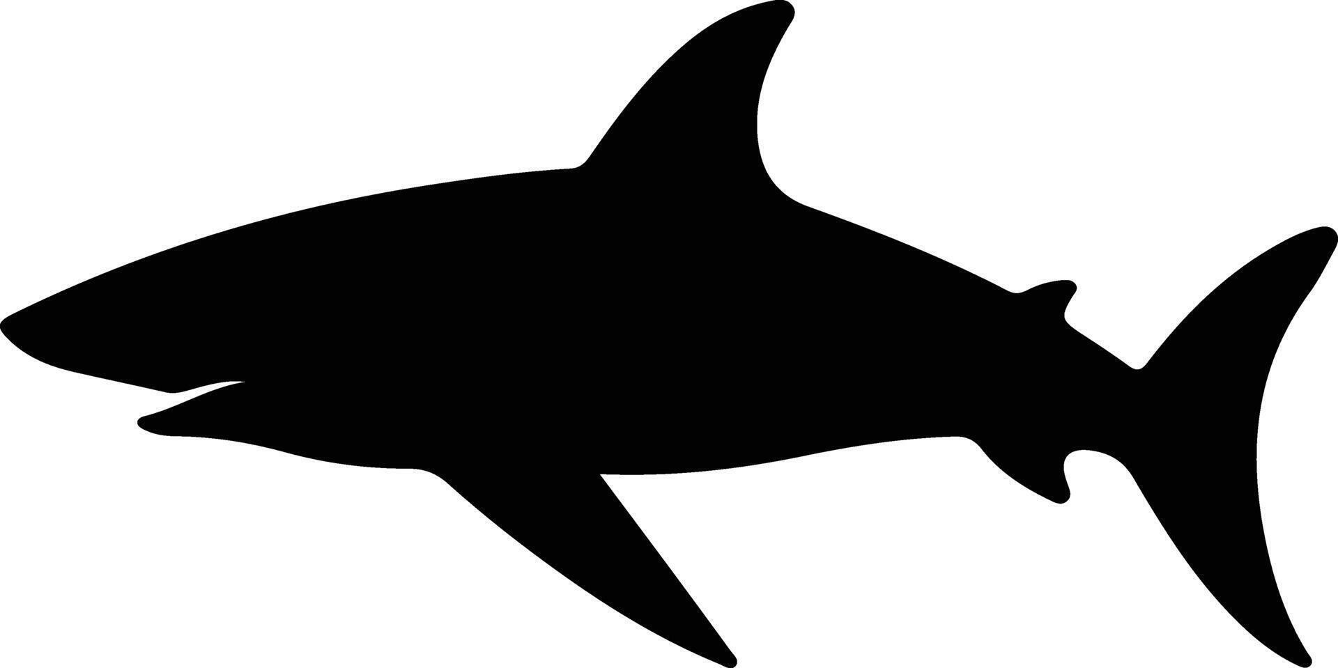 Galapagos shark black silhouette vector