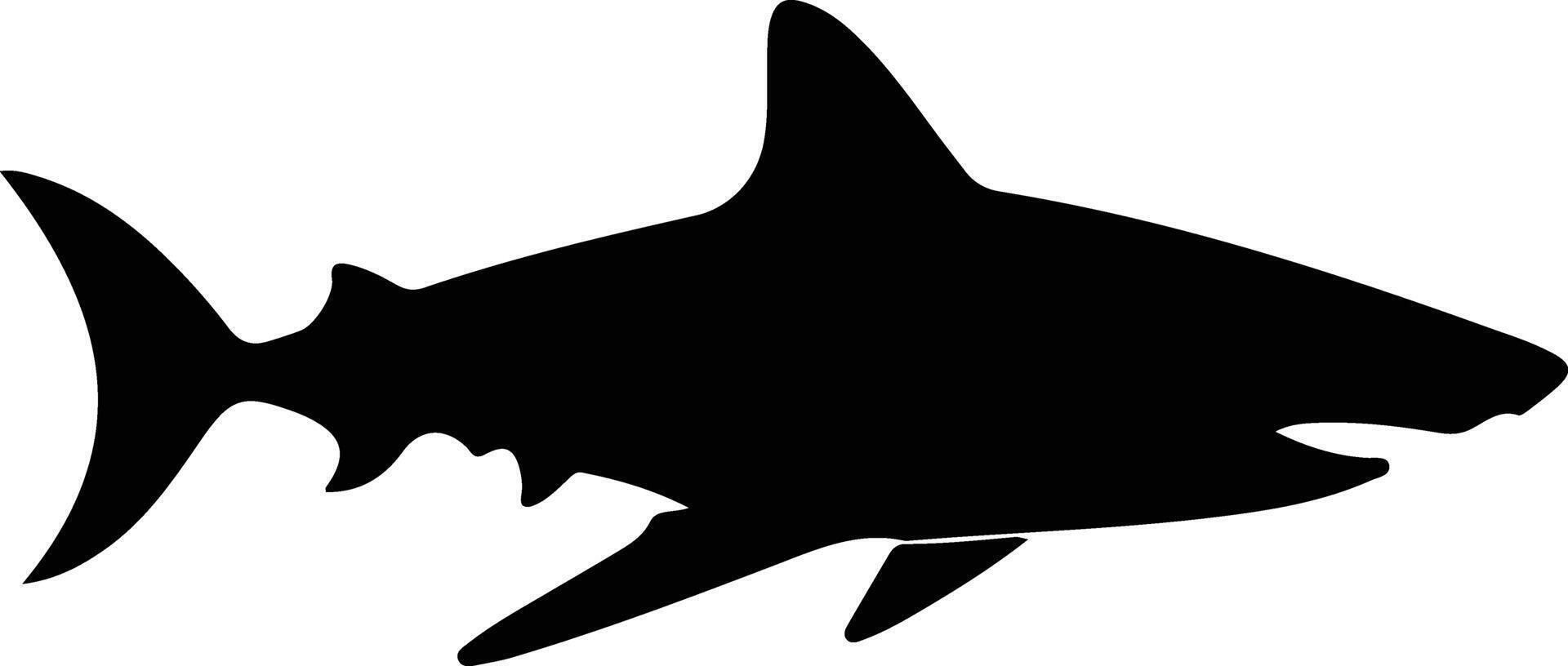 galápagos tiburón negro silueta vector