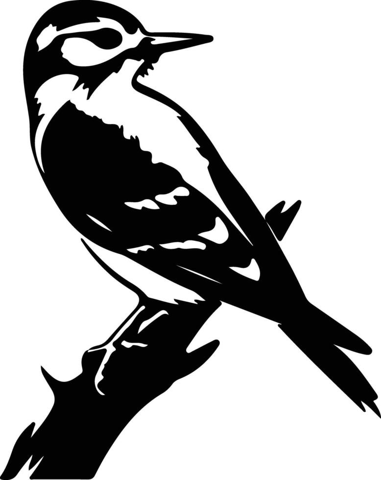 velloso pájaro carpintero negro silueta vector