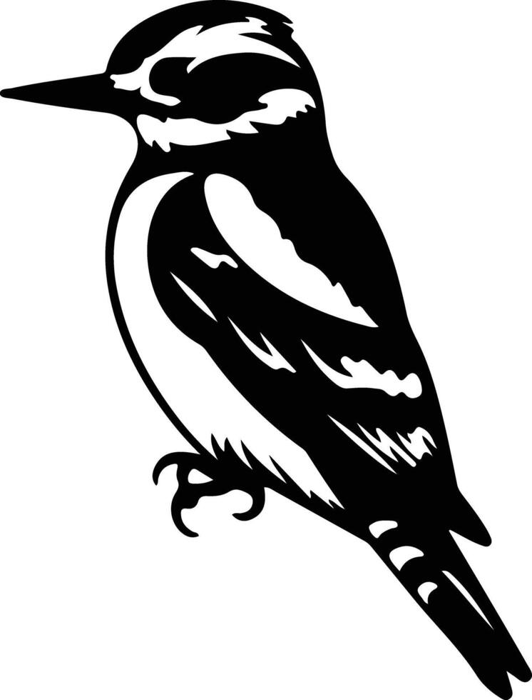 velloso pájaro carpintero negro silueta vector