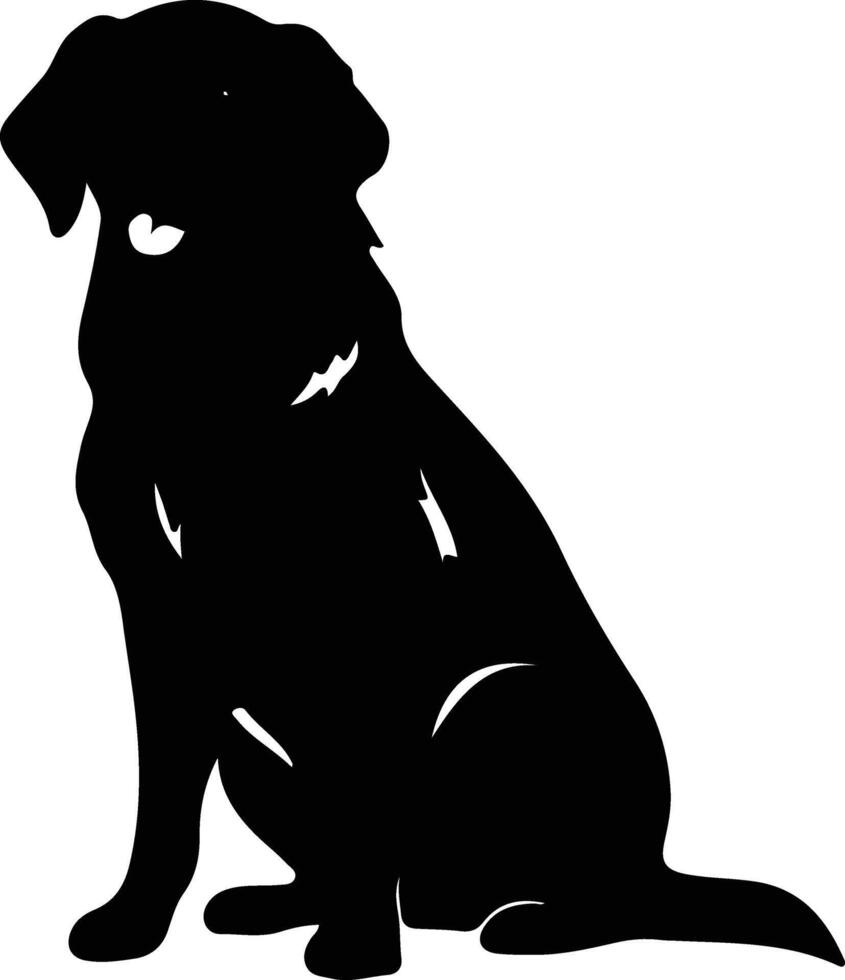Golden Retriever portrait vector