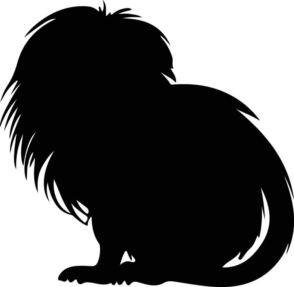 golden lion tamarin black silhouette vector