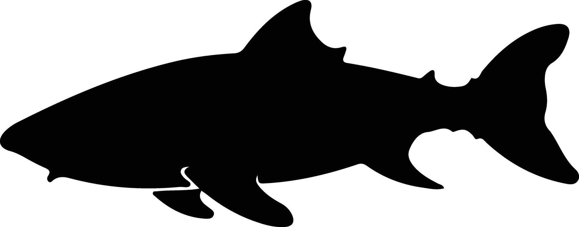 Greenland shark black silhouette vector