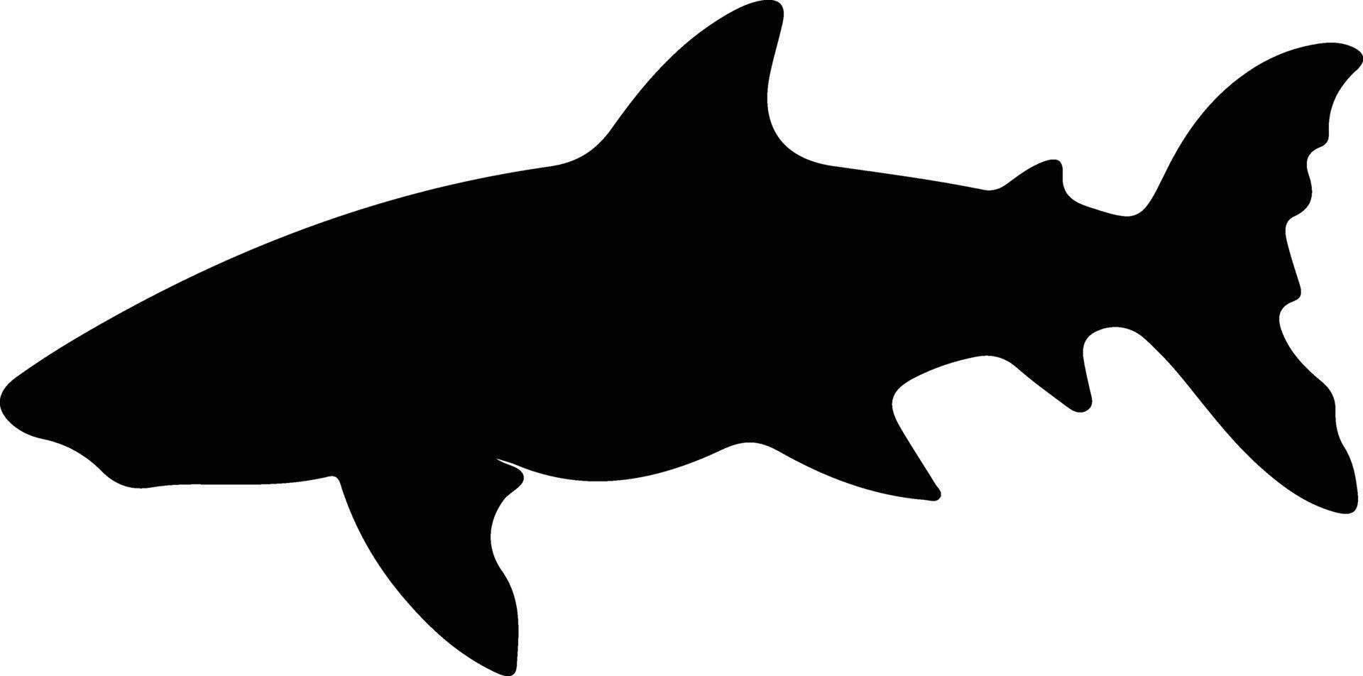 Greenland shark black silhouette vector