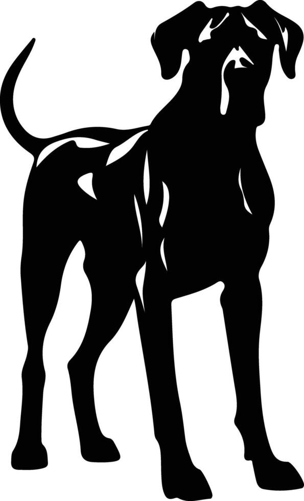 Great Dane portrait vector