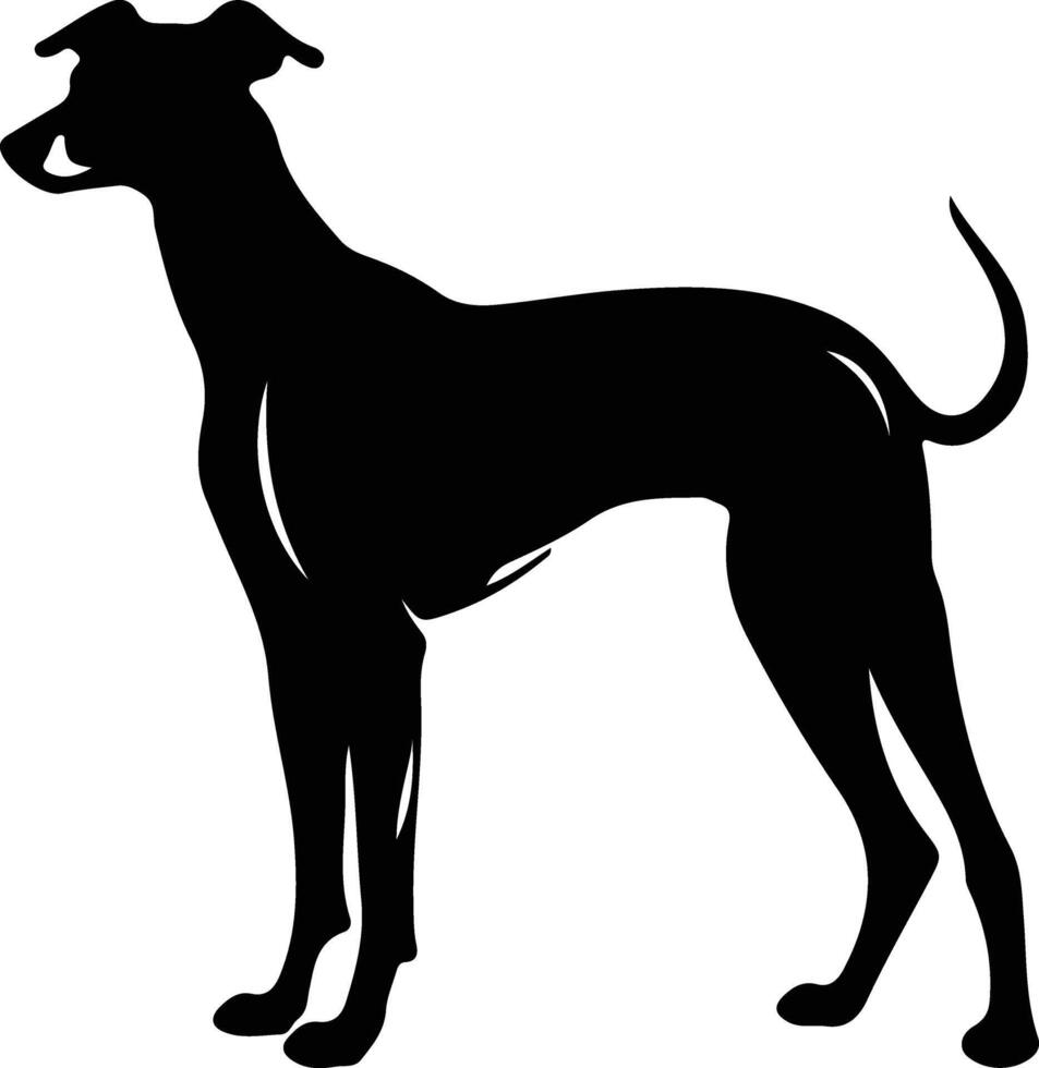 Greyhound silhouette  portrait vector