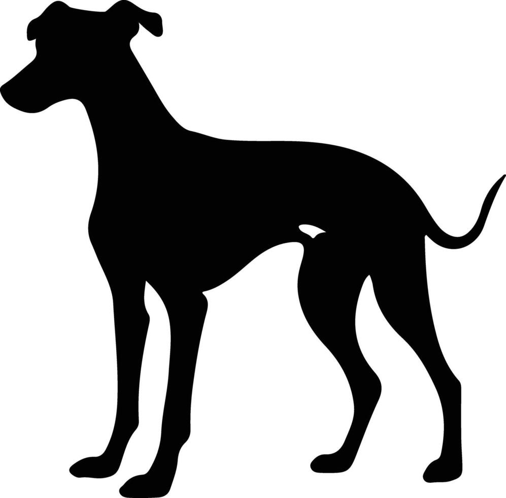 galgo negro silueta vector