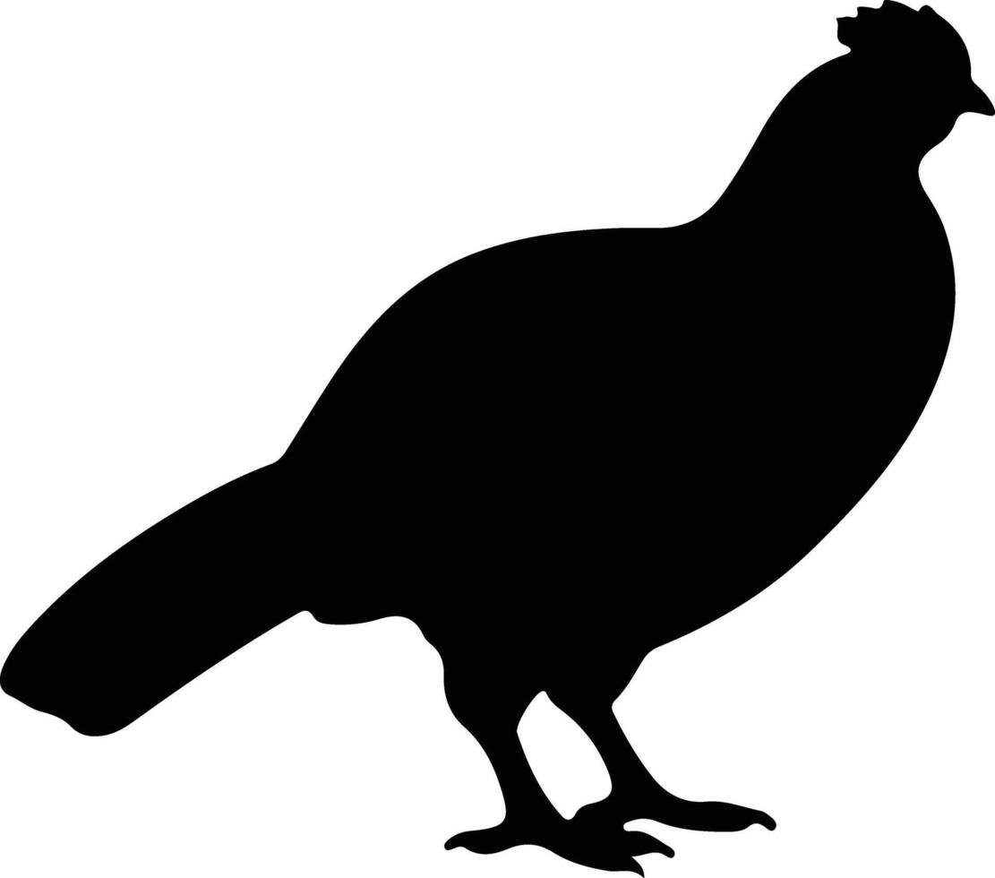 grouse black silhouette vector