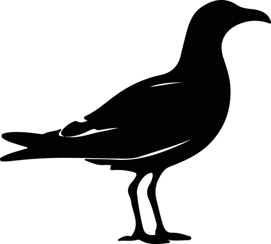 gull black silhouette vector