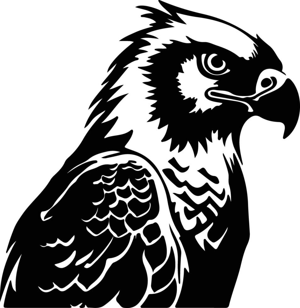 harpy eagle black silhouette vector