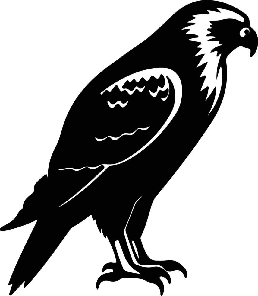 hawk black silhouette vector