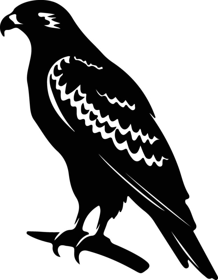 hawk black silhouette vector