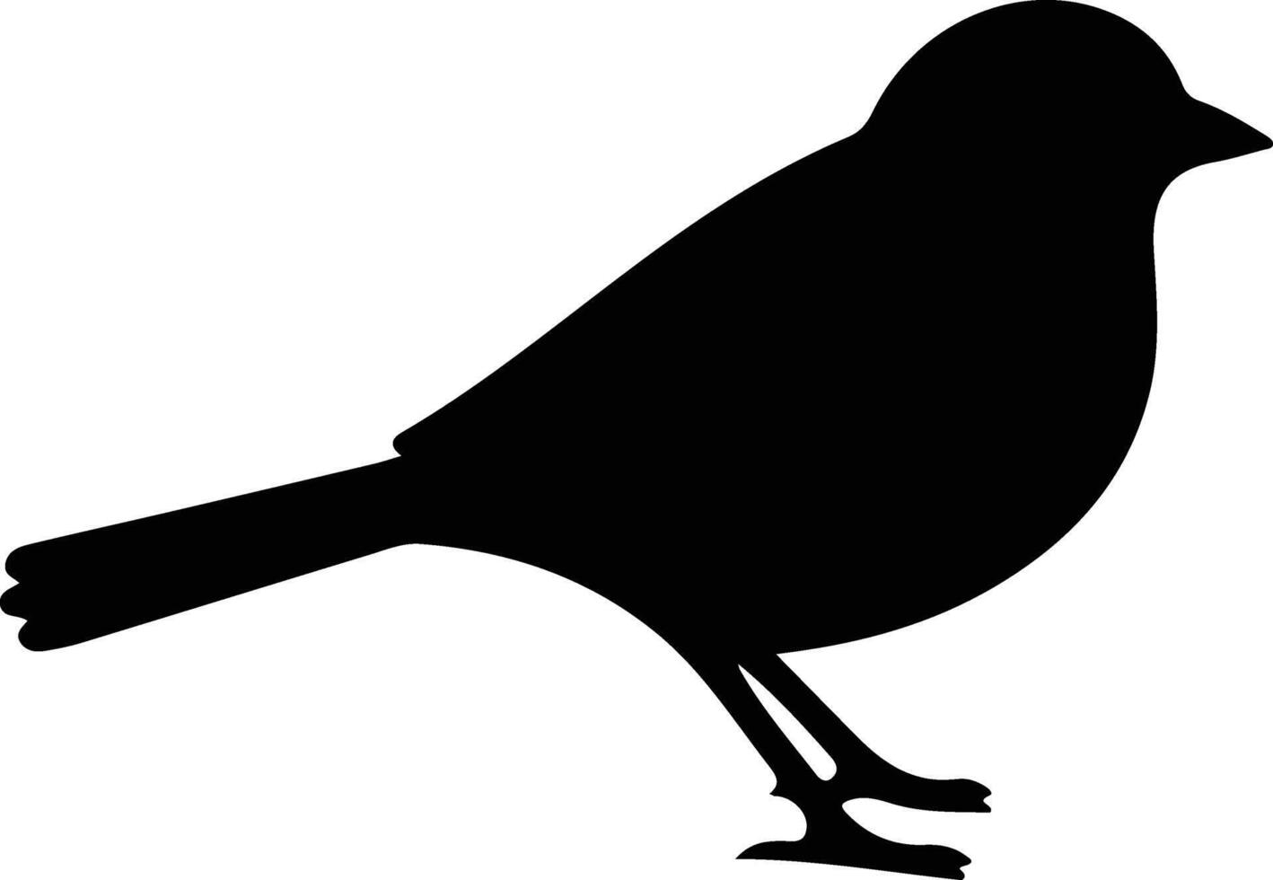 junco black silhouette vector