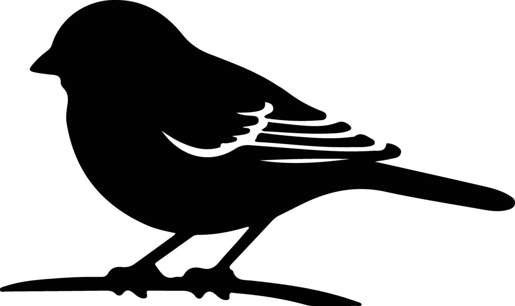 junco black silhouette vector