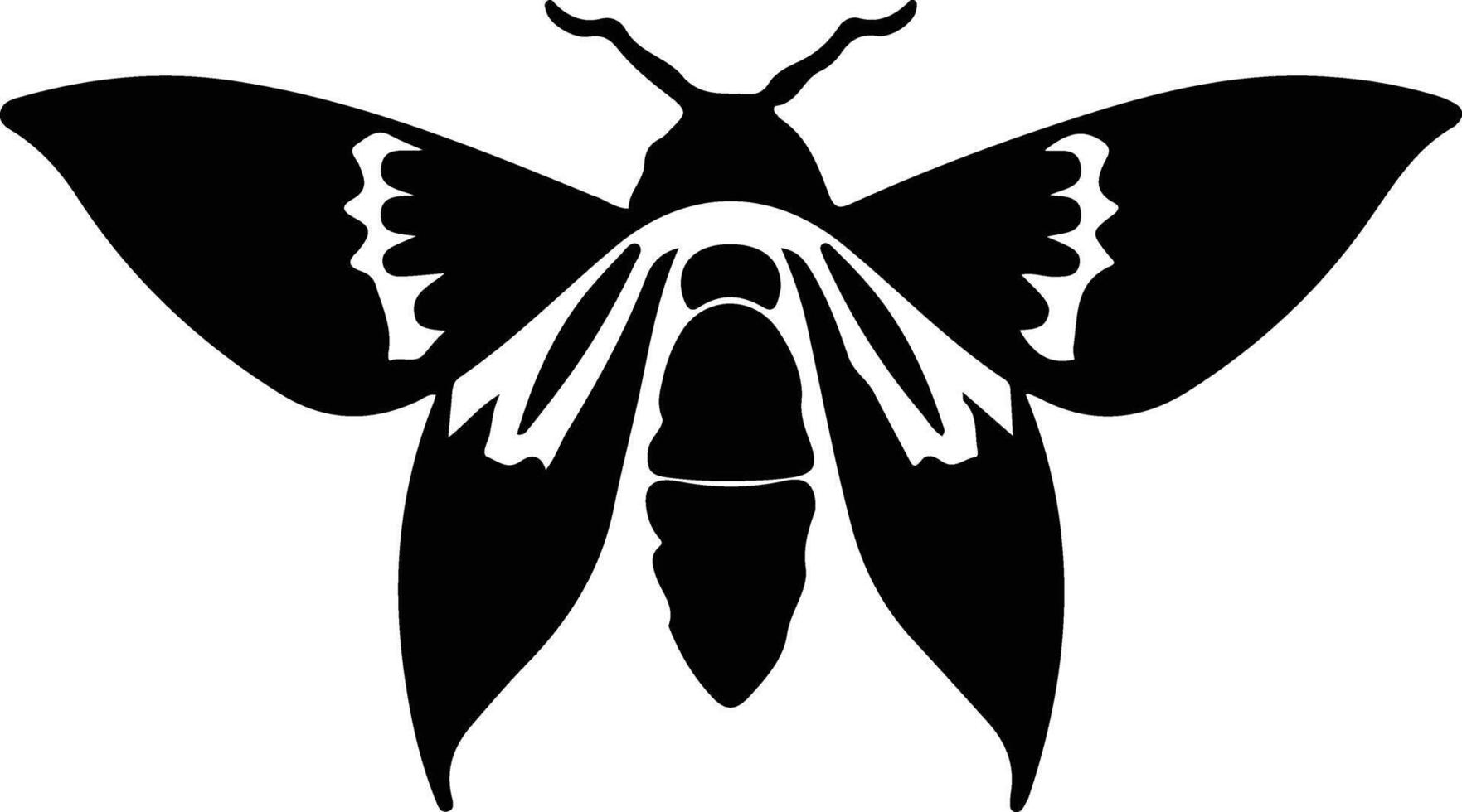 jumping bean moth black silhouette vector