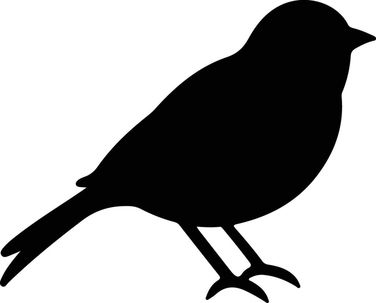 junco black silhouette vector