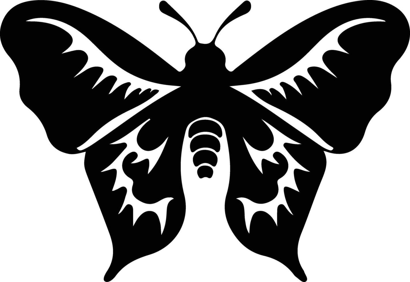 jumping bean moth black silhouette vector