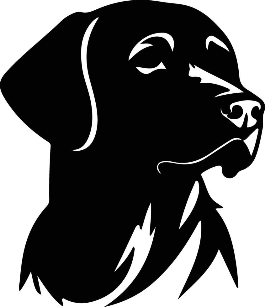 Labrador Retriever portrait vector