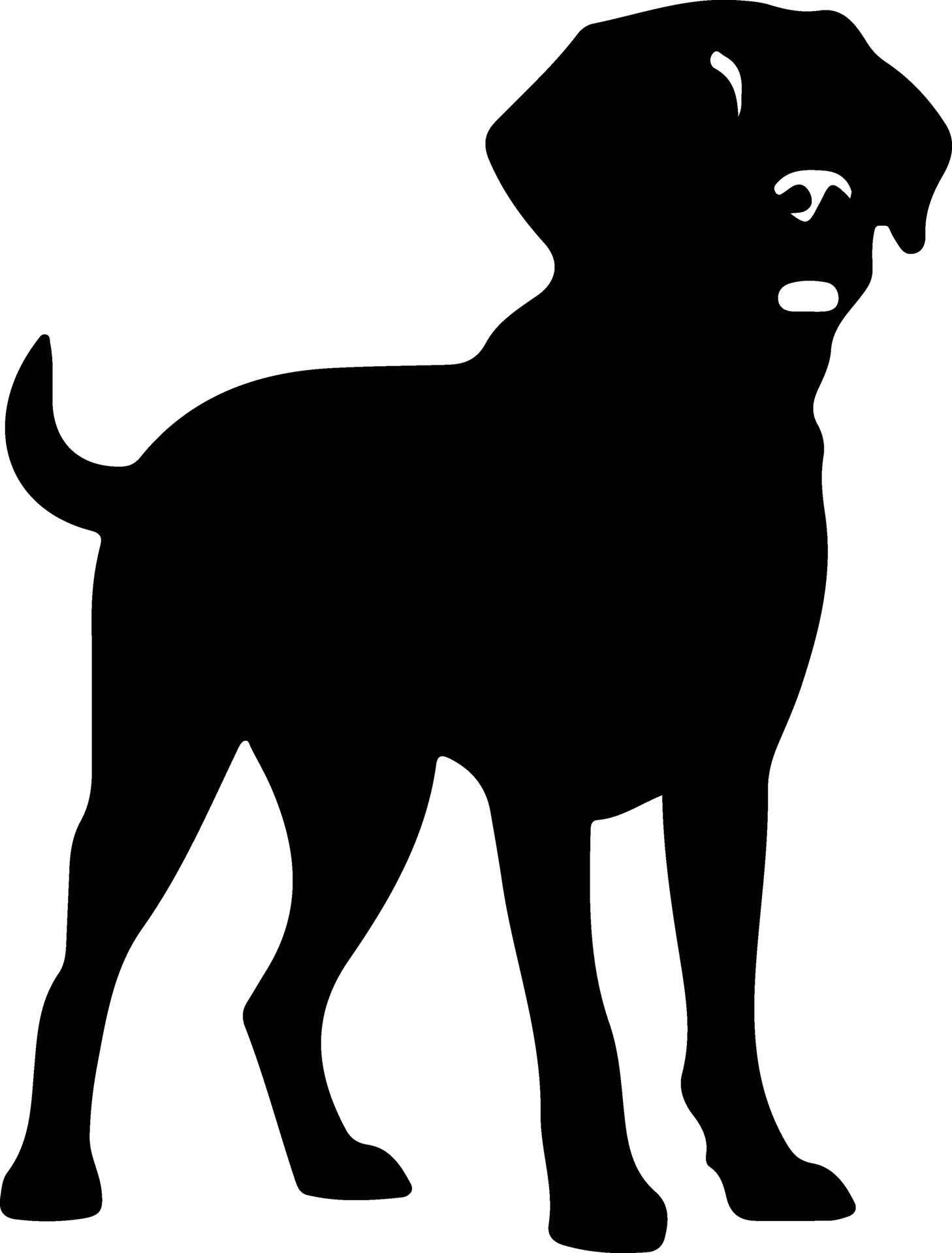 Labrador Retriever portrait 38101428 Vector Art at Vecteezy