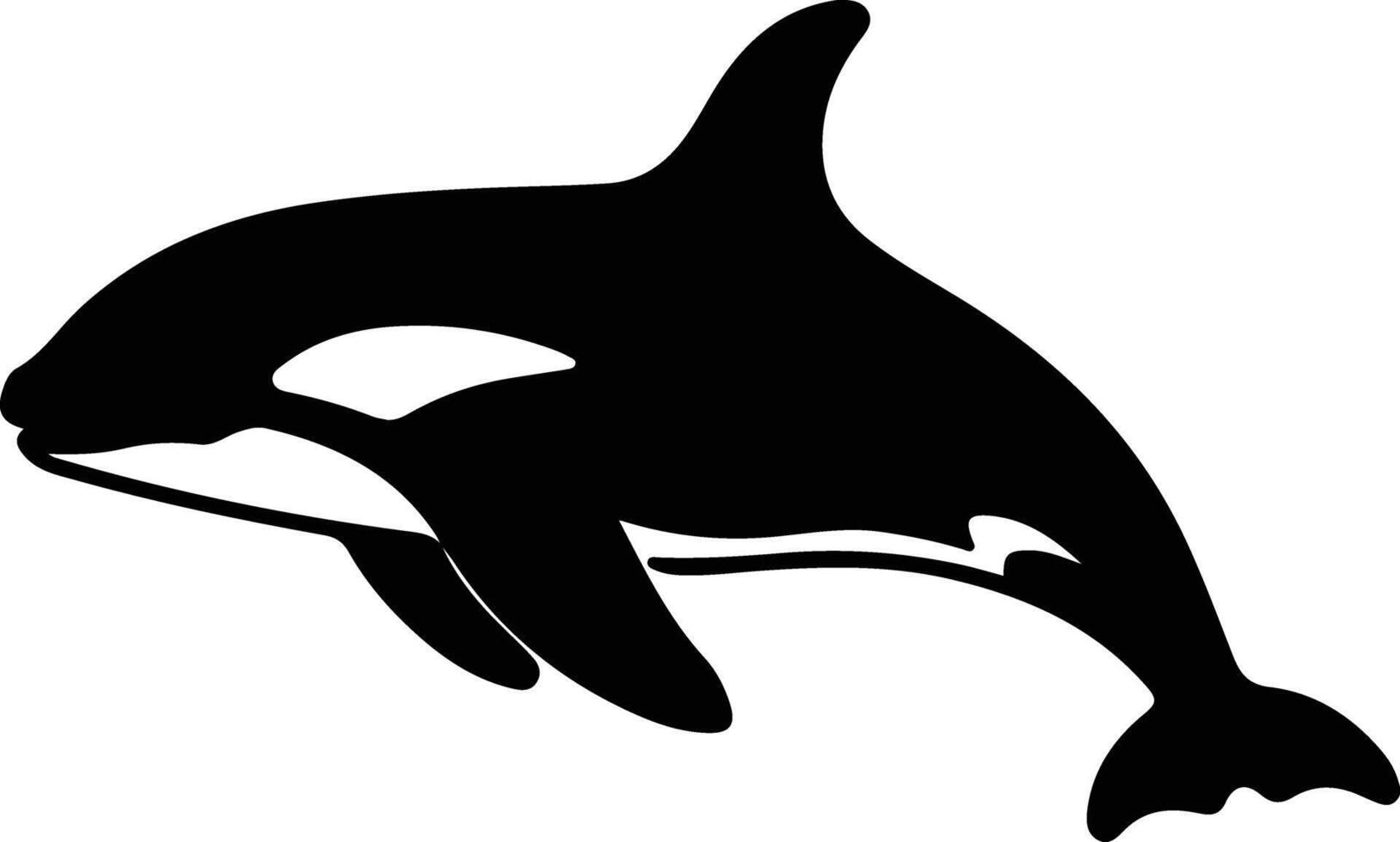killer whale black silhouette vector