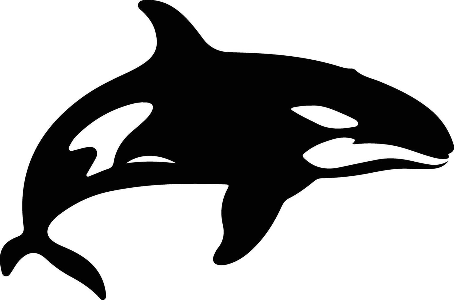 killer whale black silhouette vector