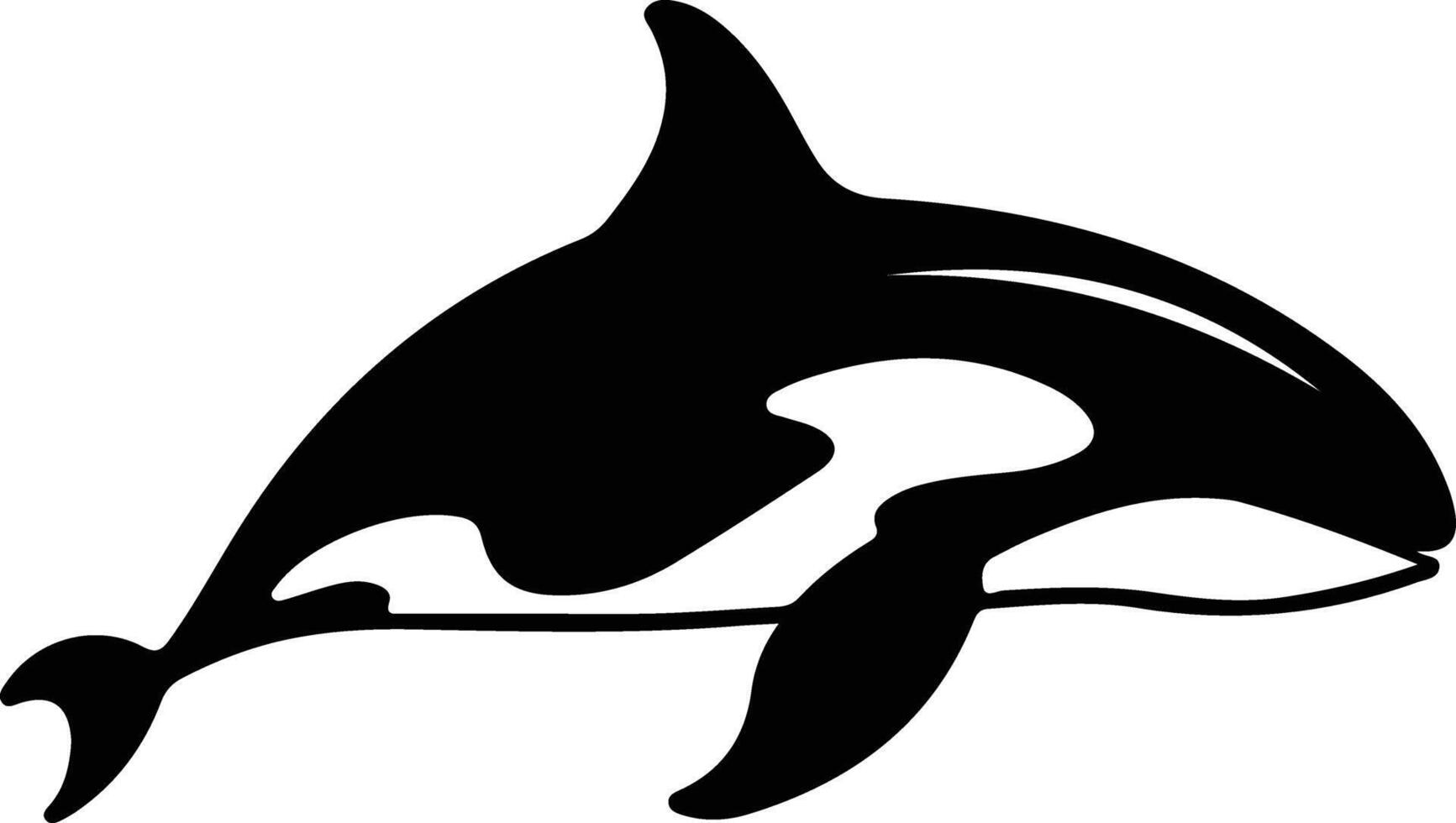 killer whale black silhouette vector