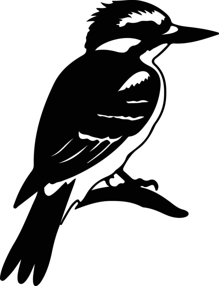 Kookaburra negro silueta vector