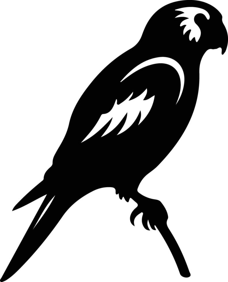 lorikeet black silhouette vector