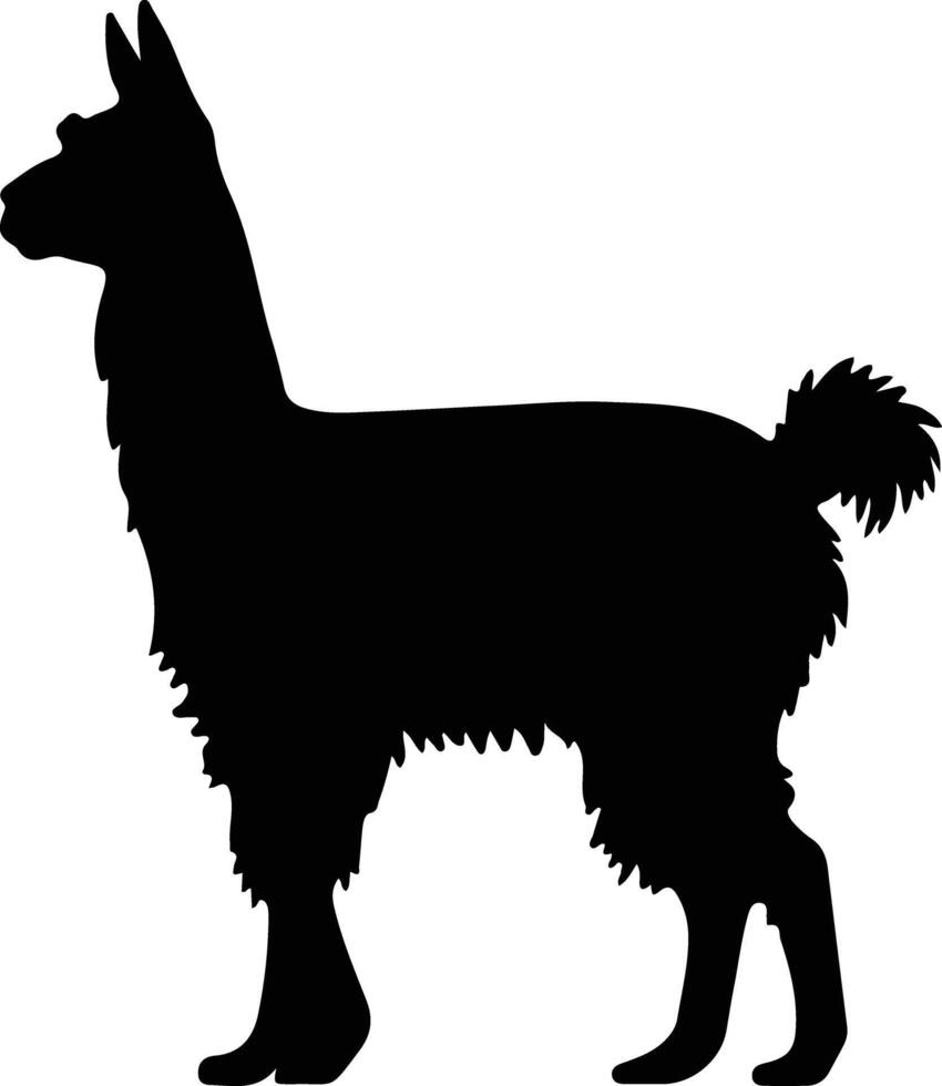 llama negro silueta vector