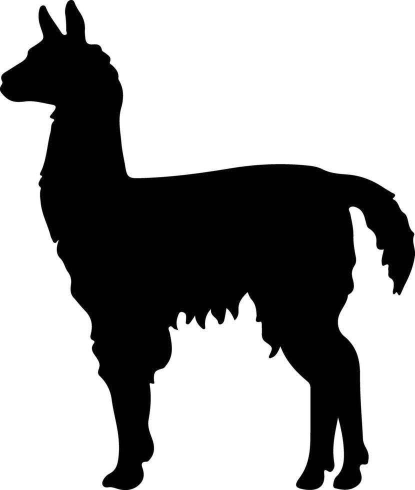 llama black silhouette vector