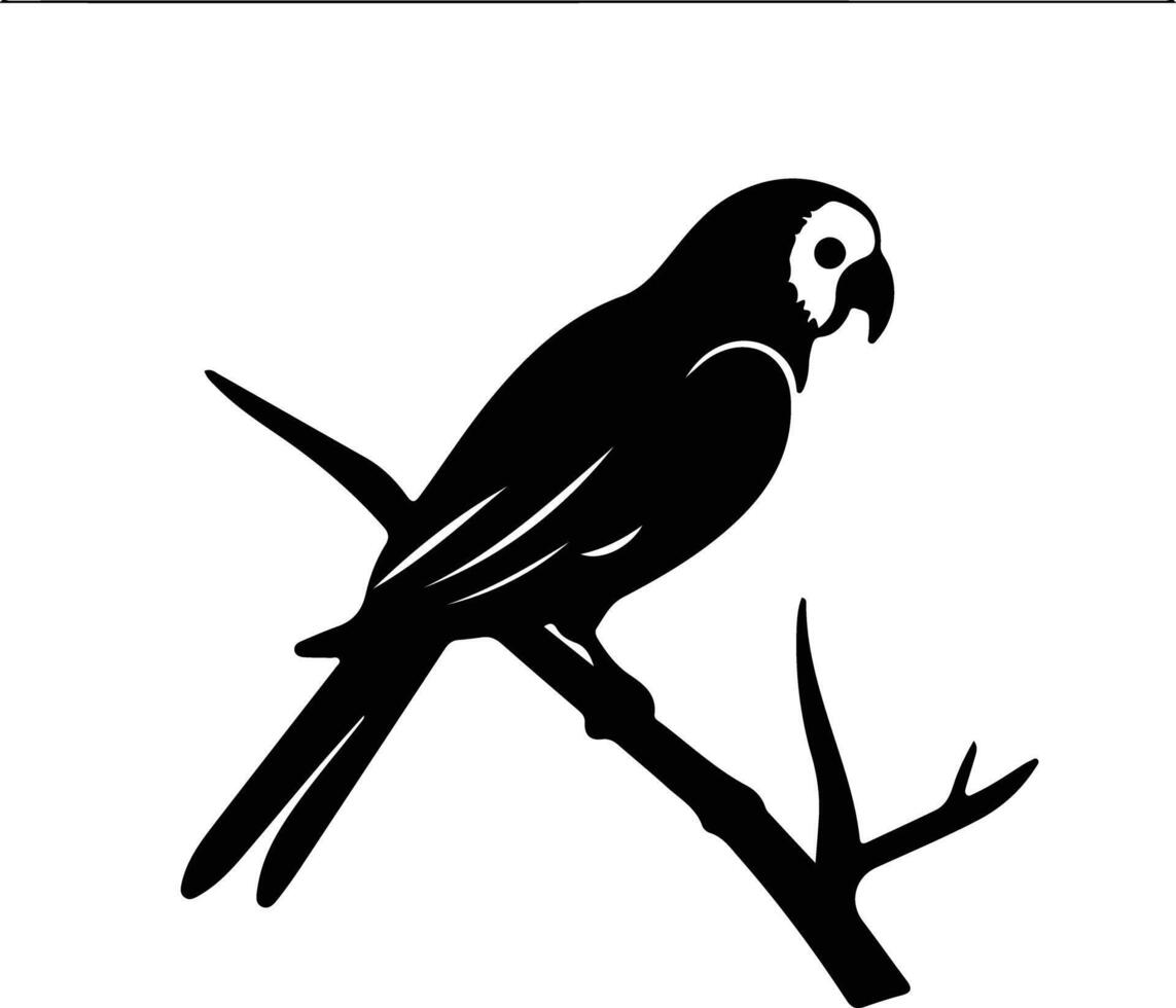 lorikeet black silhouette vector