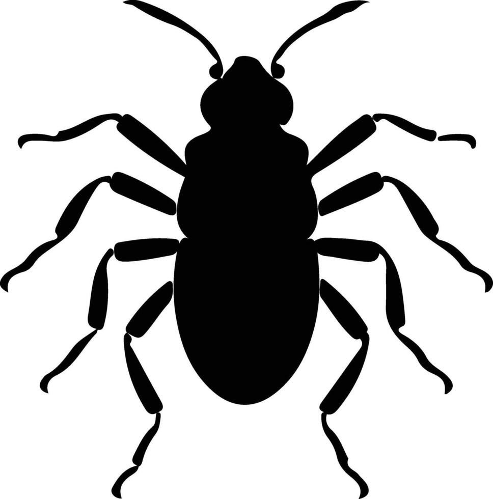 piojo negro silueta vector