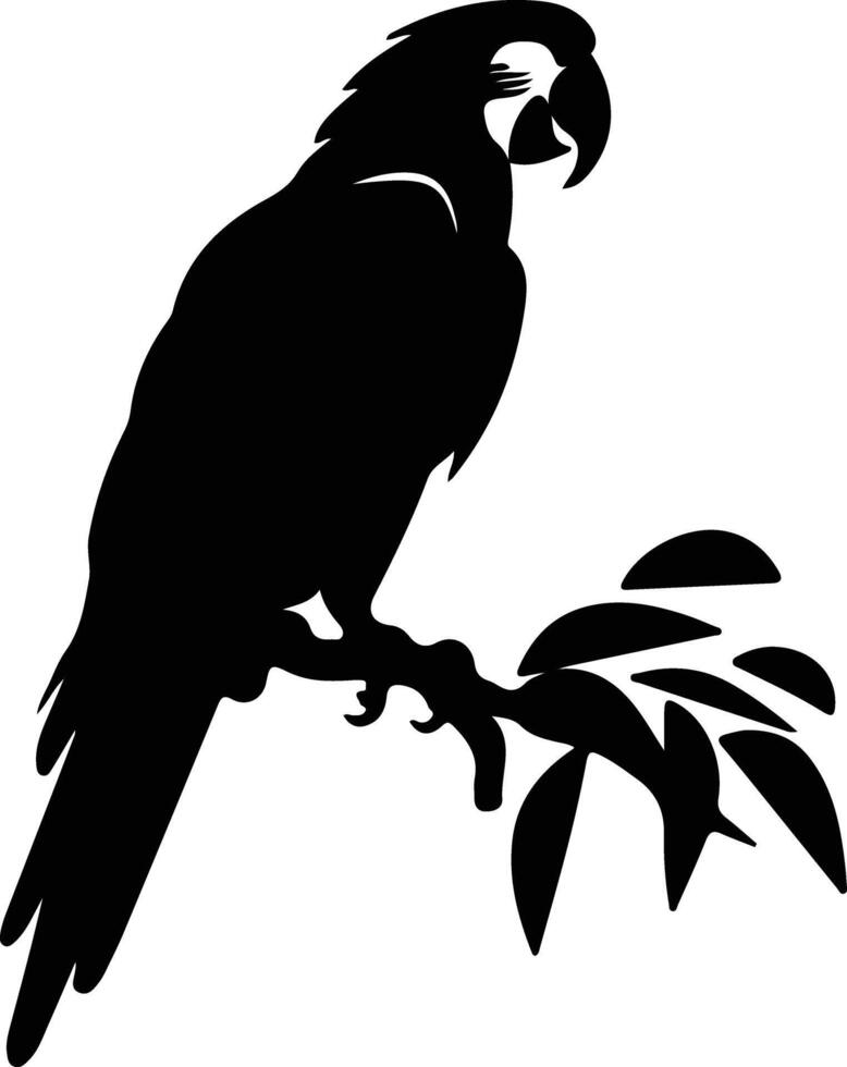 macaw black silhouette vector