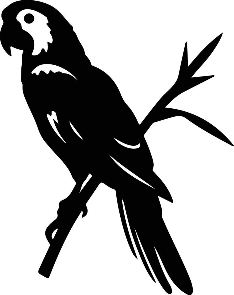 macaw black silhouette vector