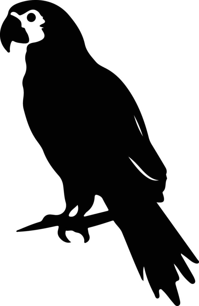 macaw black silhouette vector