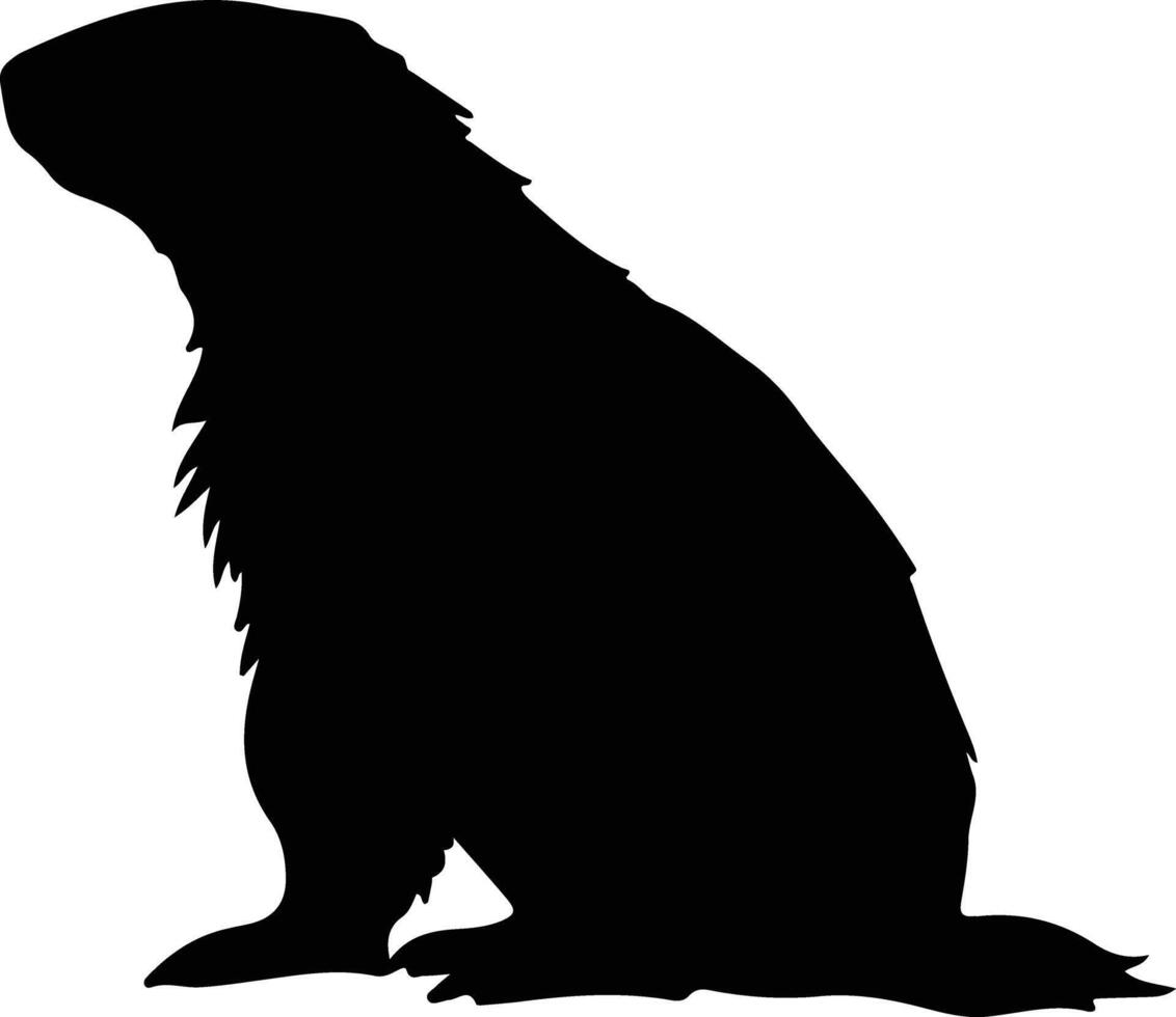 marmota negro silueta vector