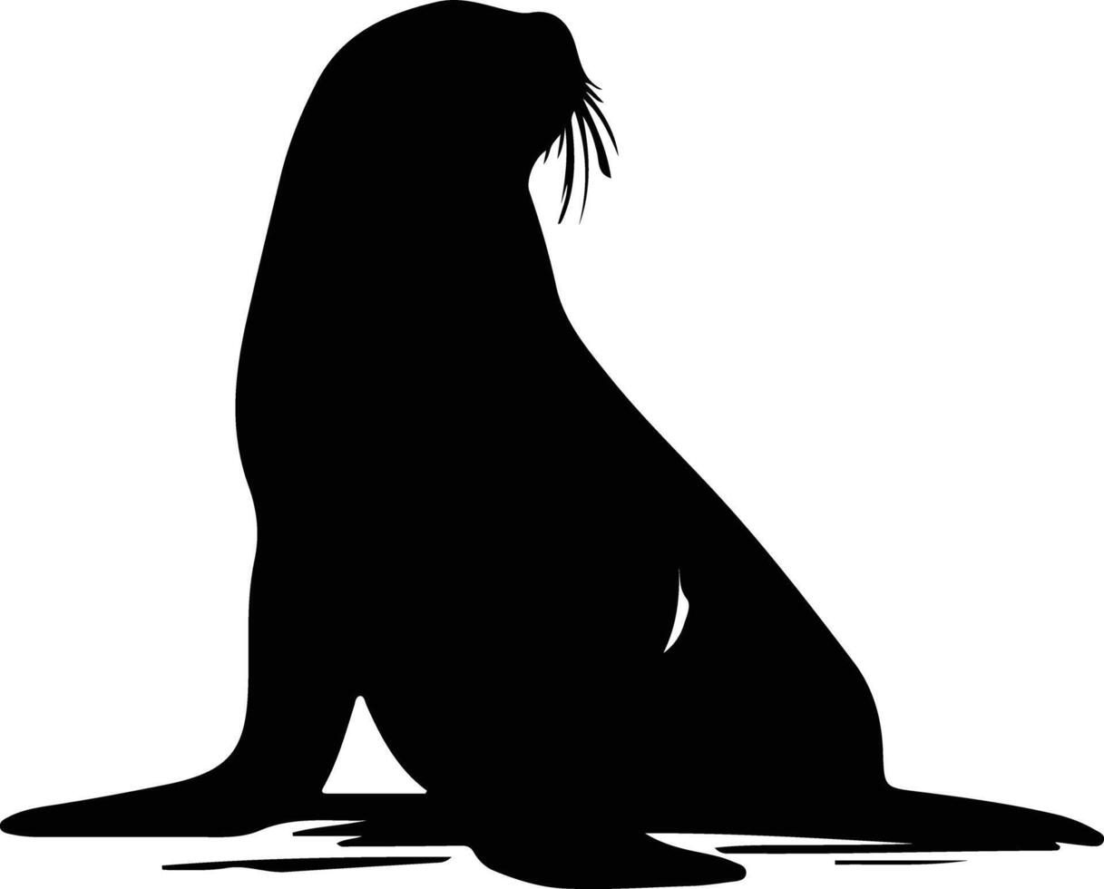 northern fur seal black silhouette vector