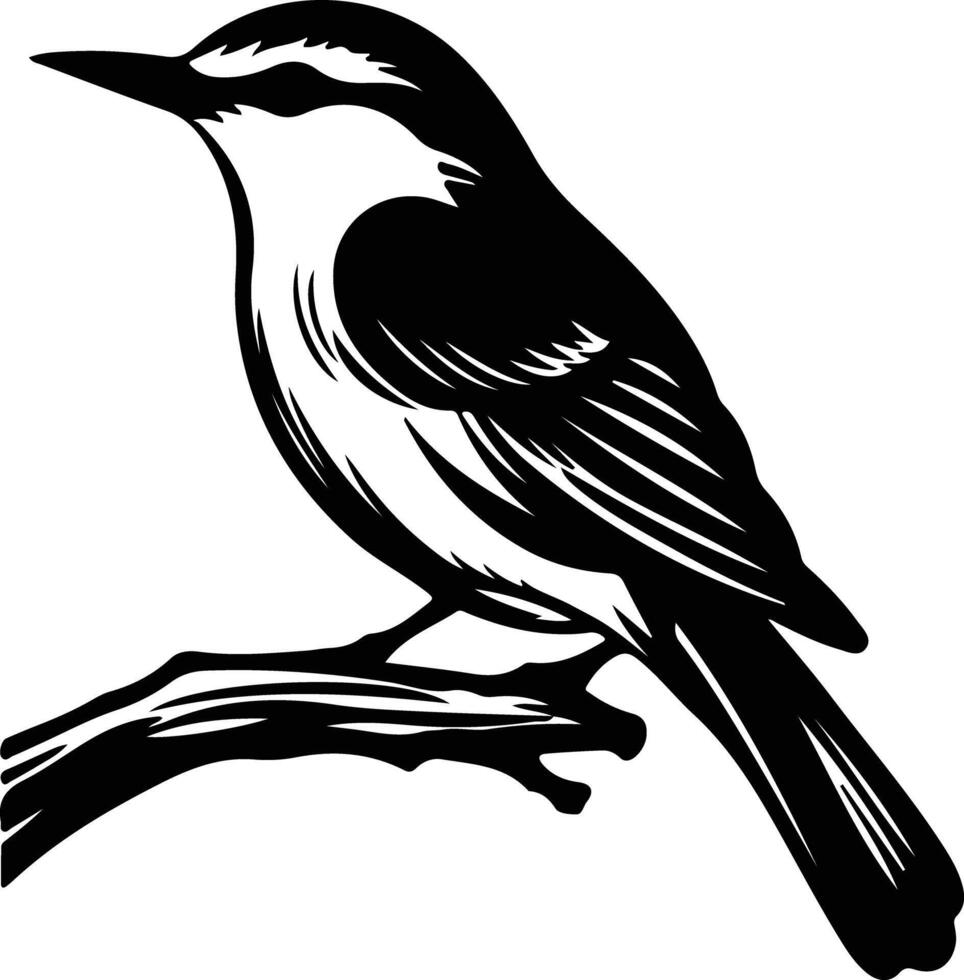 nuthatch black silhouette vector