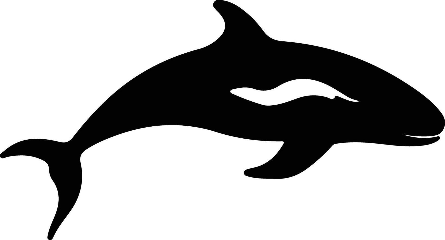 northern right whale black silhouette vector