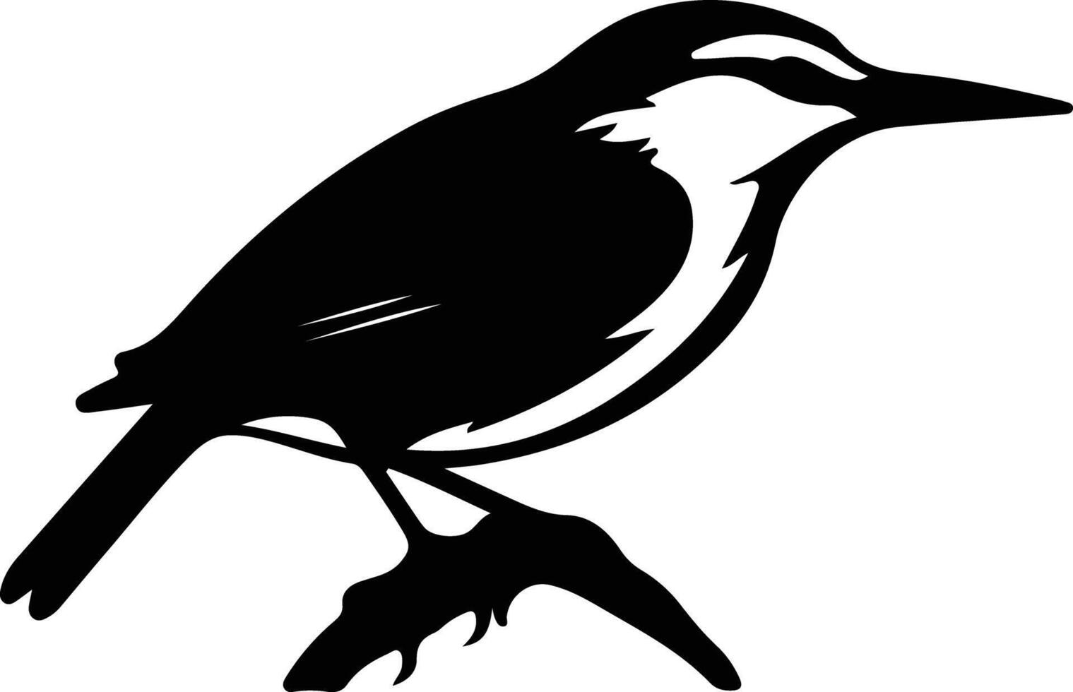 nuthatch black silhouette vector