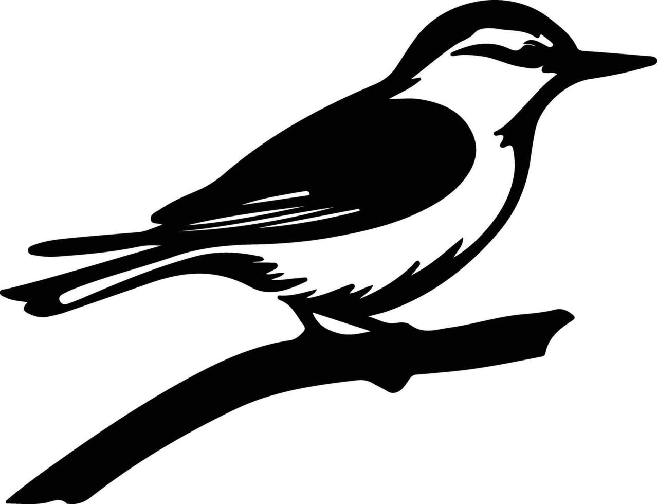 nuthatch black silhouette vector