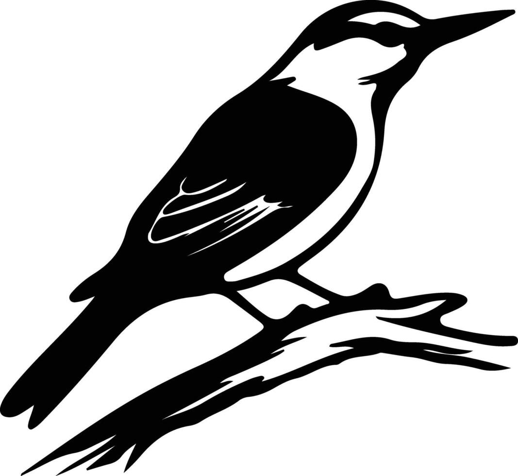 nuthatch black silhouette vector